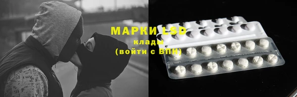 МДПВ Алзамай