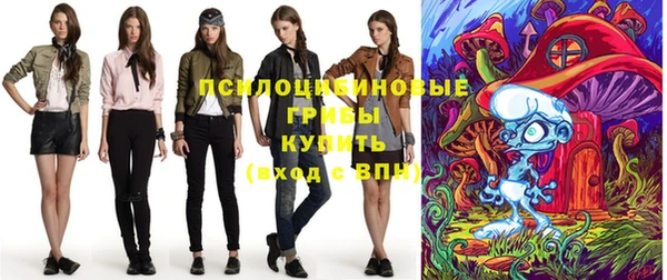 МДПВ Алзамай