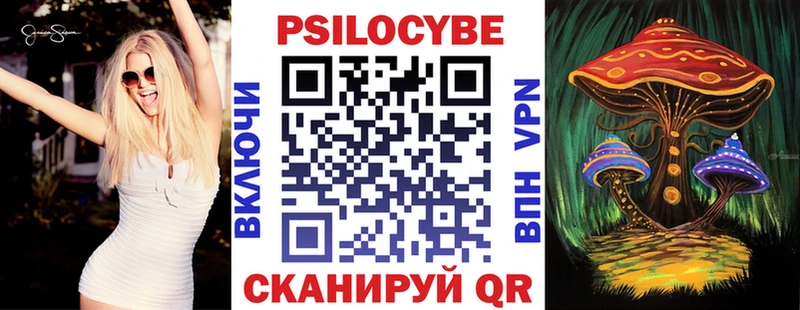 ссылка на мегу зеркало  Лениногорск  Галлюциногенные грибы Psilocybe 